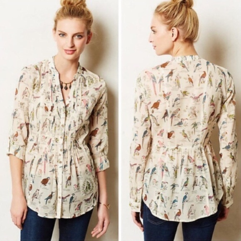 Anthropologie Maeve Birds sheer pintuck top